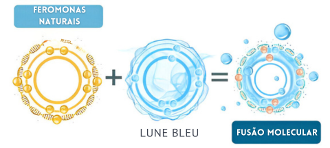 2x1-Perfume com feromonas para homens Lune Bleu.
